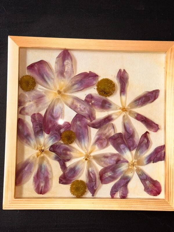 Tulips in silence - Image 2